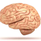 Image for article titled Busted Freezer Melts 150 Brains